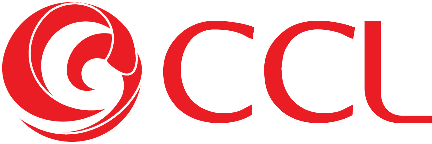 AdminLTE Logo